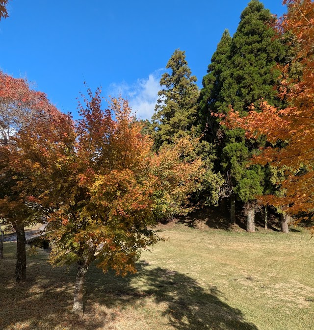 Fuji Country Club - Photo 10