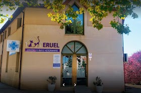 Centro Clínico Veterinario Teruel