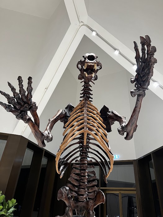 Natural History Museum Abu Dhabi fotoğraf 1
