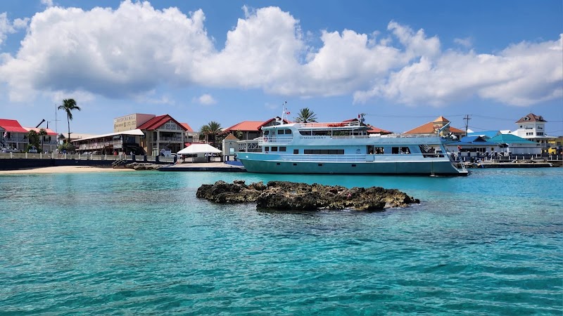 FitCayman photo 3