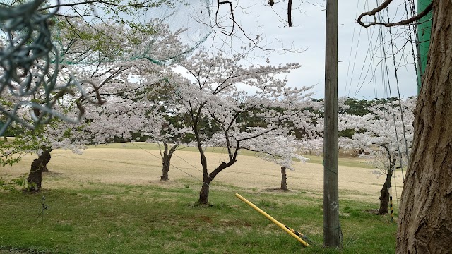 Senkai Golf Club Urakasumi Course - Photo 8