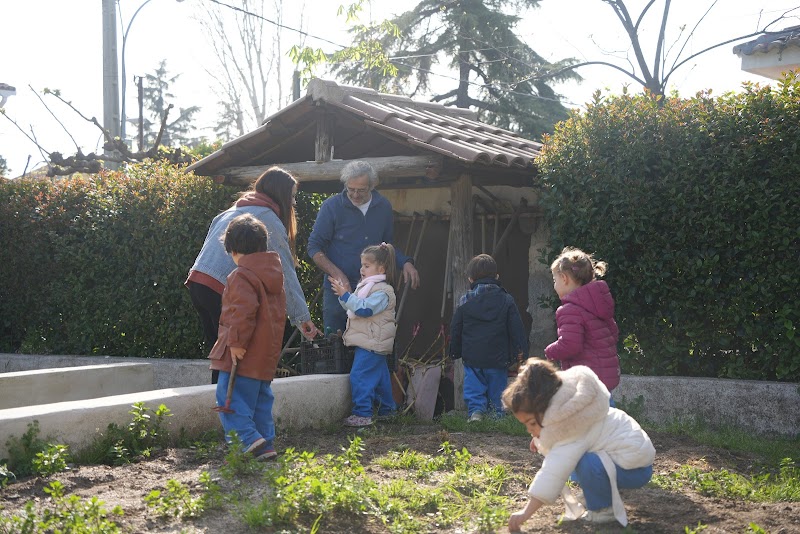 Private Early Childhood Education My Little Farm Center