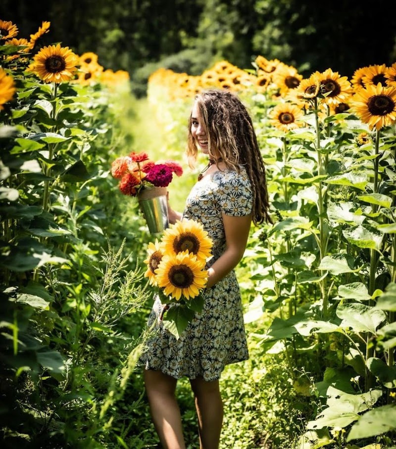 Second Drop Farm photo 4