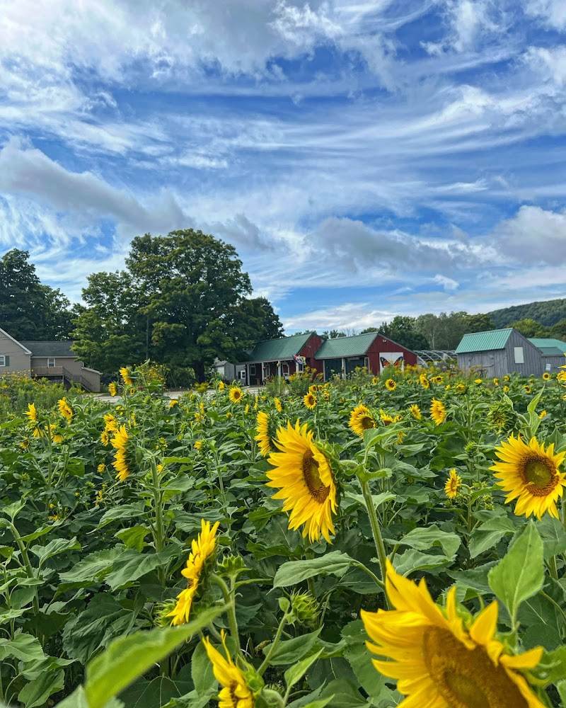Second Drop Farm photo 2