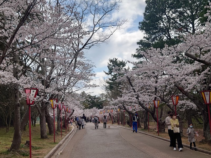 加古川市立日岡山公園