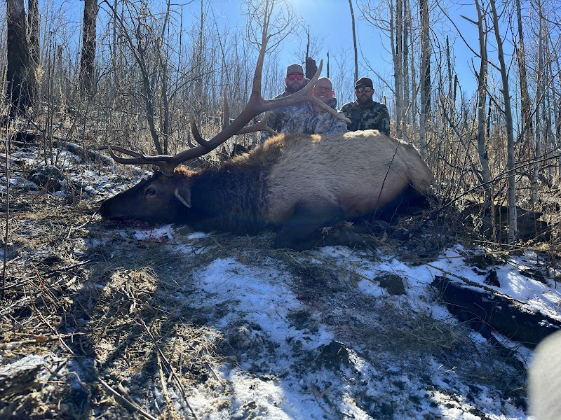 Arizona Elk Outfitters - Photo 1