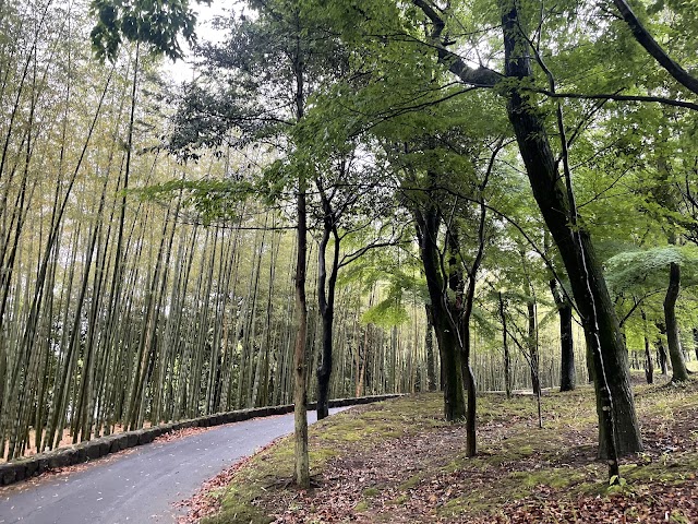 Mikawa Country Club - Photo 10