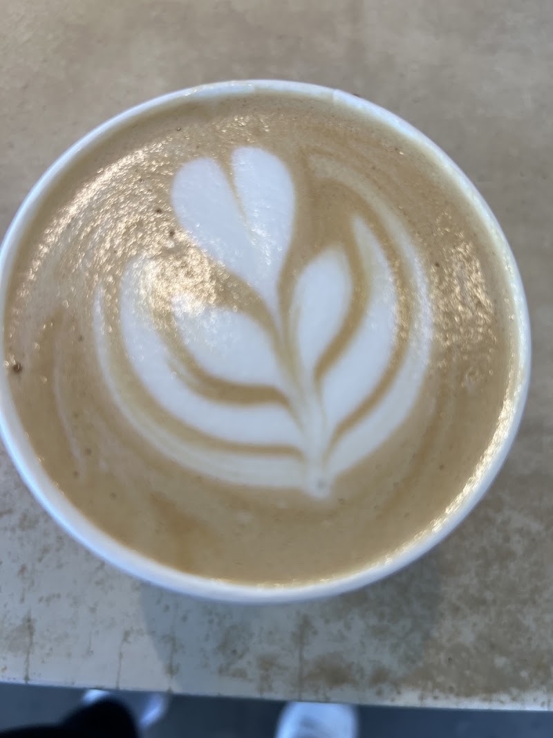 Camino Coffee photo 4