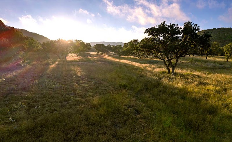 Texas Ranch Experience - Photo 3