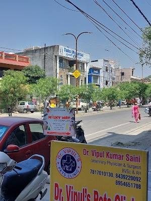 Dr. Vipul's pet clinic - Image 2