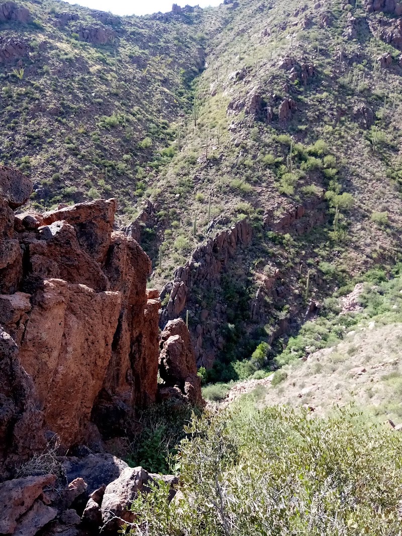 Desert Dawg Arms photo