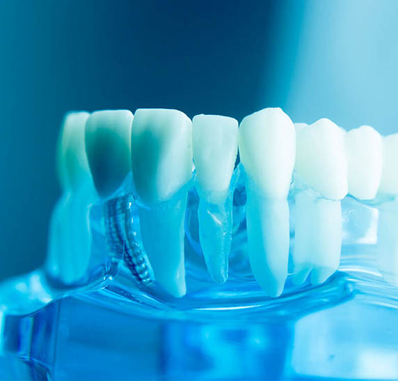 SB Face & Ortoimplante - foto 5