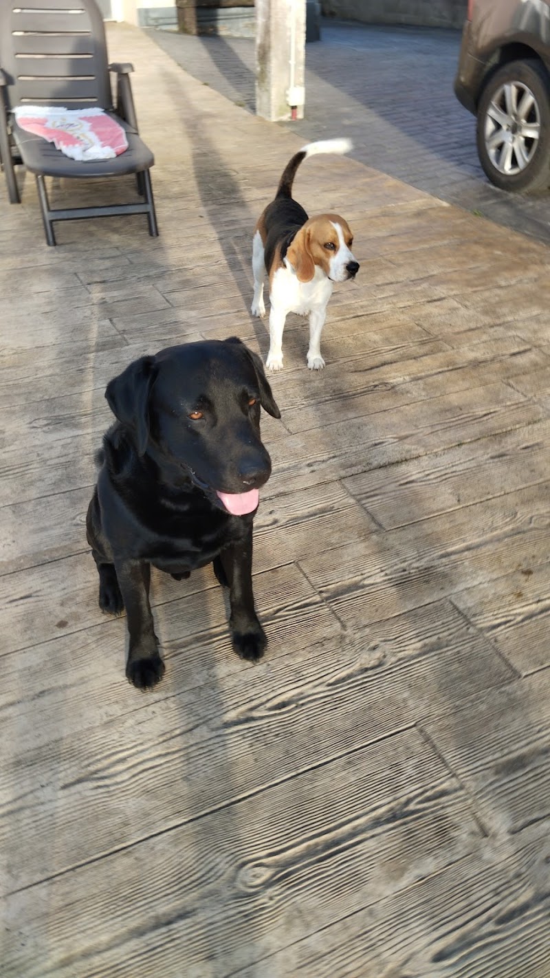 Clínica Veterinaria Arnela photo 2