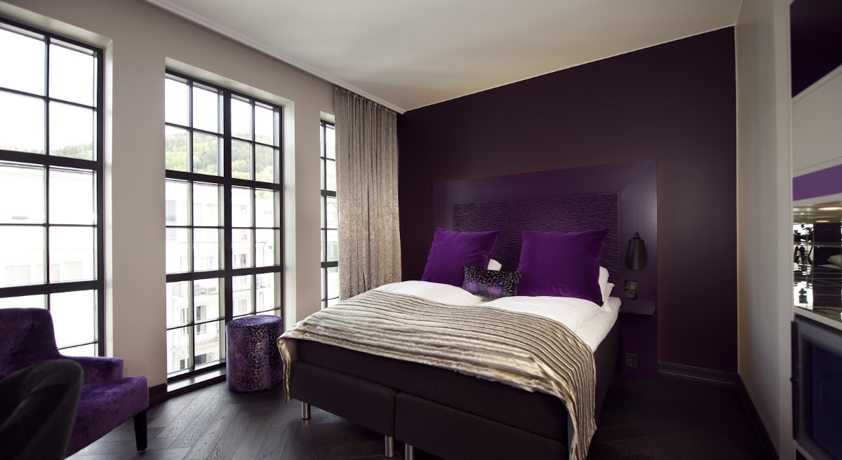 Hotel Oleana, dog-friendly hotel, photo 4