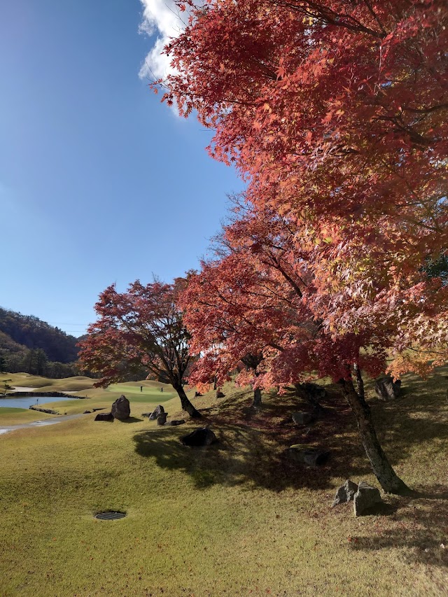Cherry Golf Inagawa Course - Photo 7