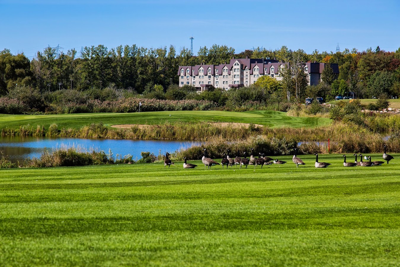 Golf de la Faune — photo 2