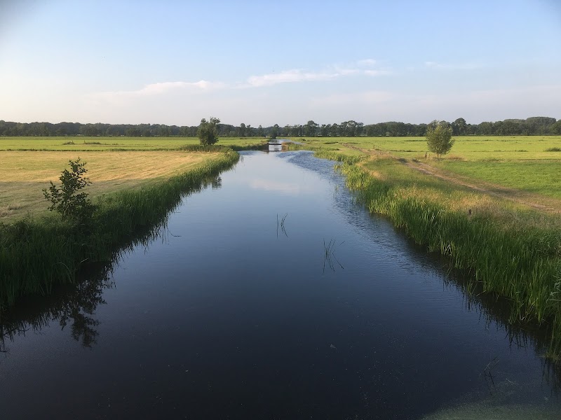 Veenwater