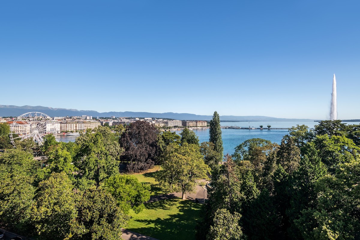 Hôtel Métropole Genève, dog-friendly hotel, photo 4
