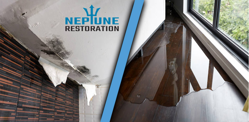 Neptune Restoration — photo