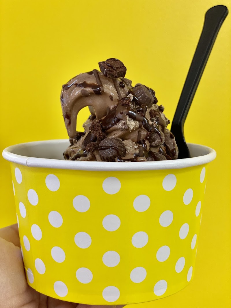 Sweet Susie's Frozen Treats photo 2