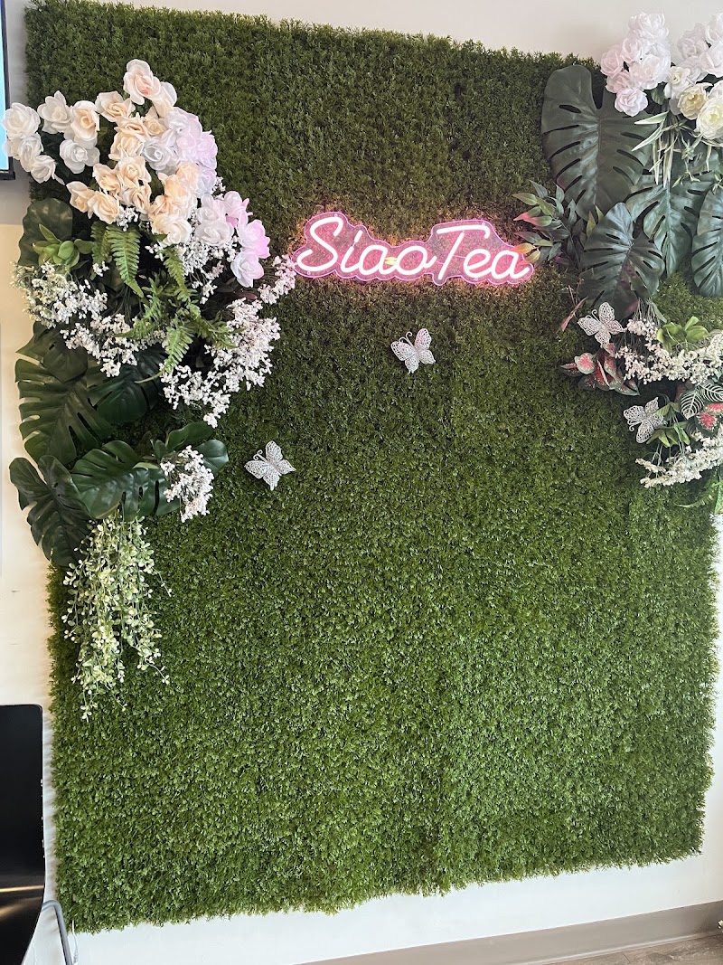 SIAOTEA photo 4