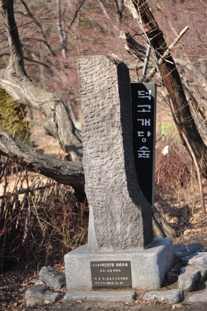 덕고개당숲 사진 4