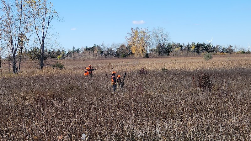 South Dakota Pheasant Hunts - Photo 1