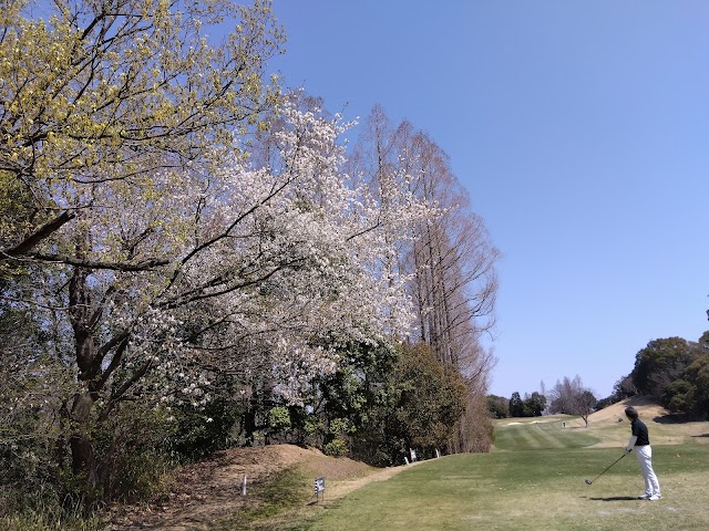 Sennan Country Club Public Course - Photo 6