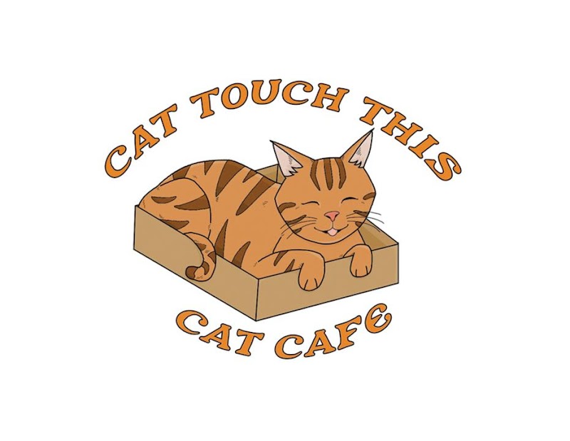 Cat Touch This Cat Cafe