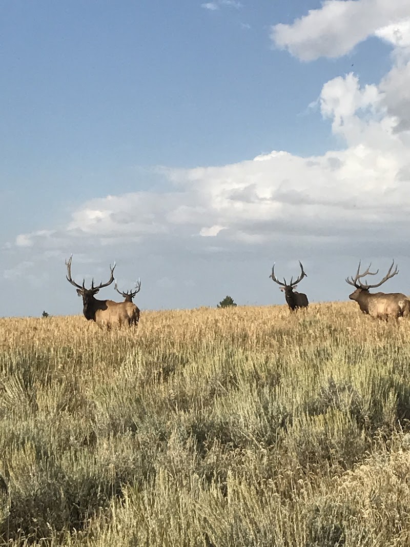 Rocky Mountain Elk Ranch - Photo 2