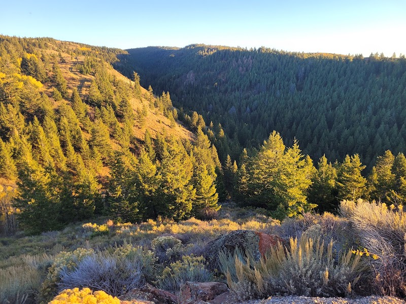 Rocky Mountain Elk Ranch - Photo 5