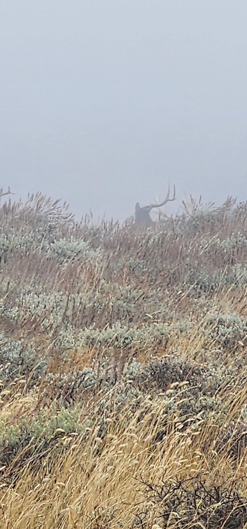 Rocky Mountain Elk Ranch - Photo 3
