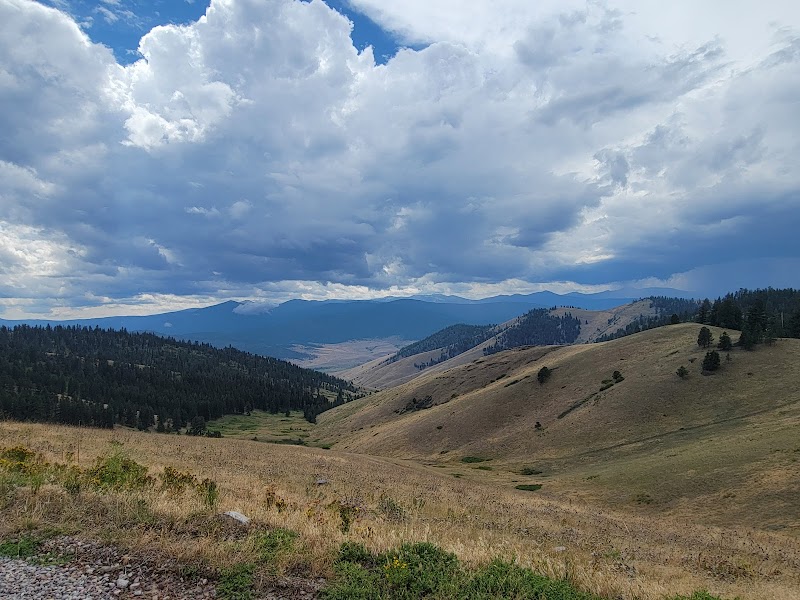 Roaming Bison Ranch - Photo 1