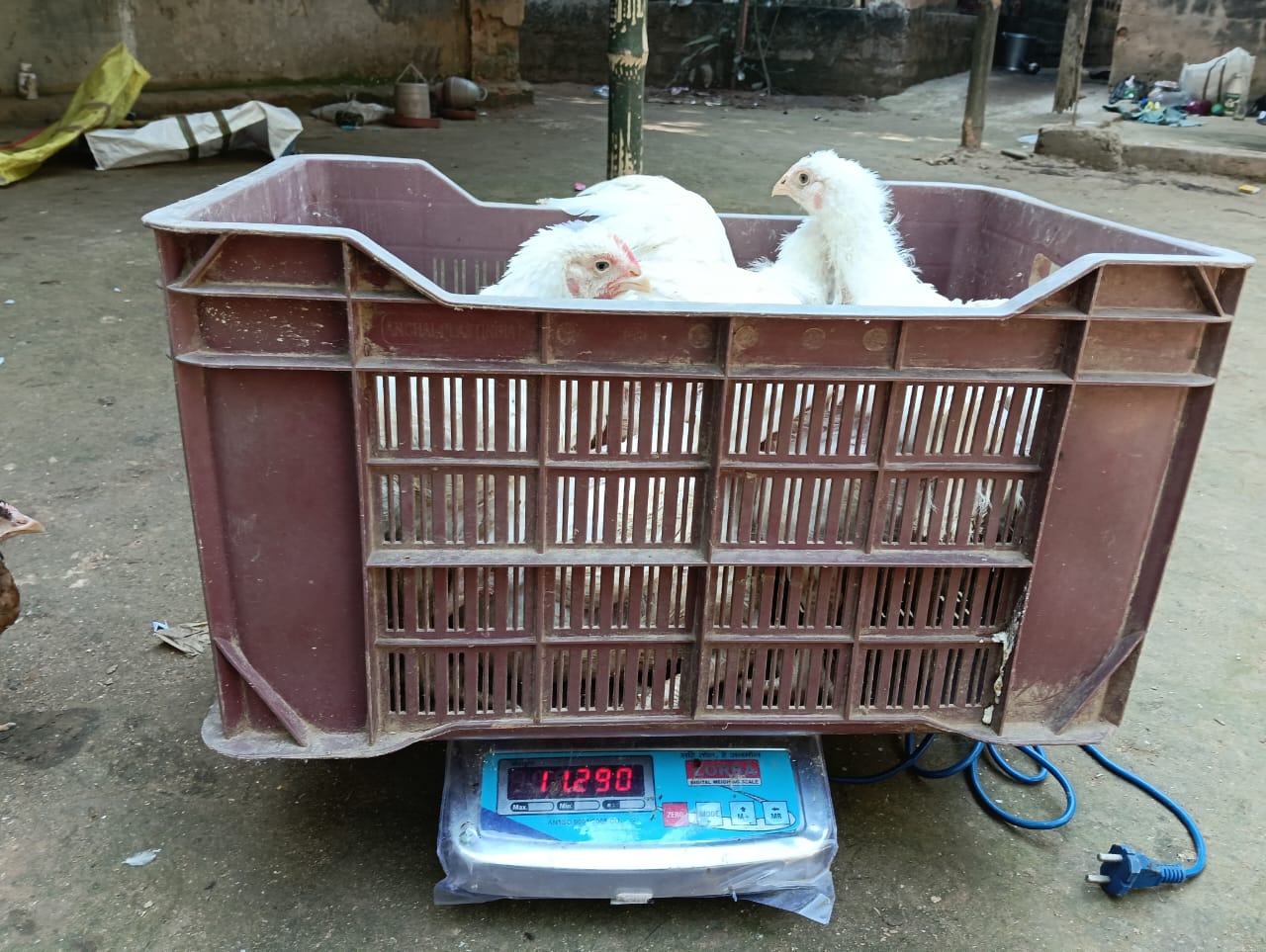 Kosai Ghor Meat Centre photo 4