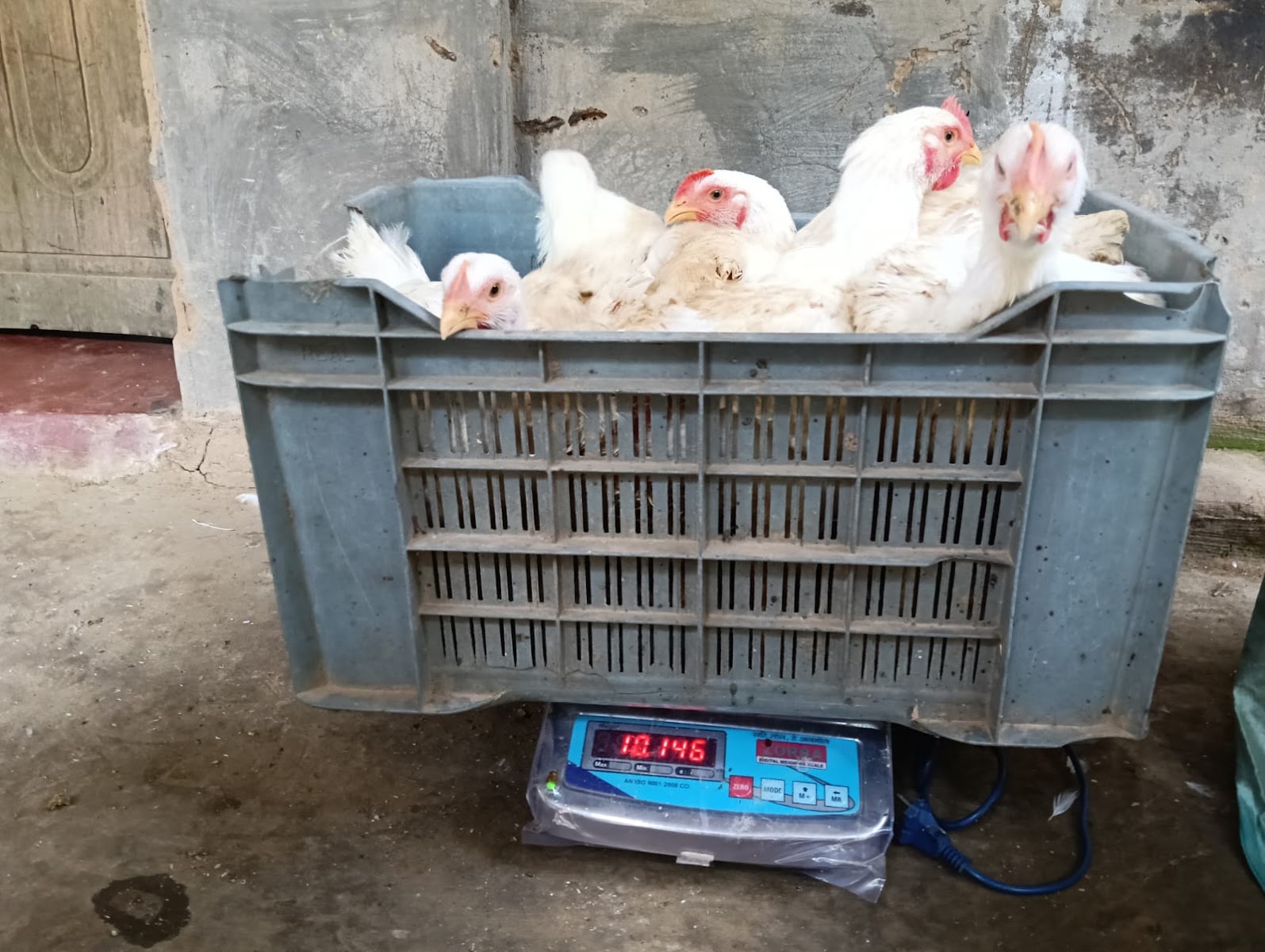 Kosai Ghor Meat Centre photo 1