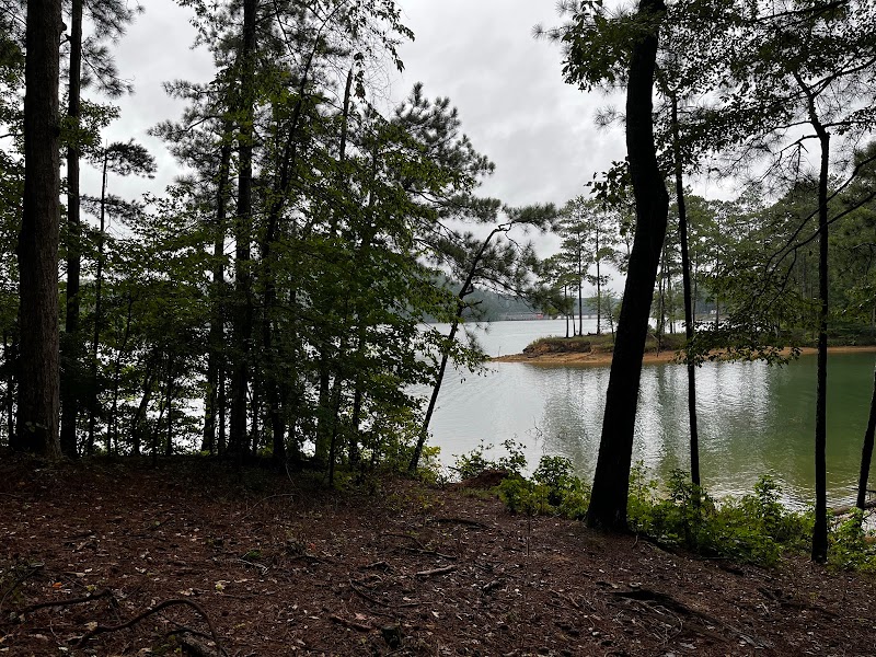 Gatewood Disc Golf photo 2