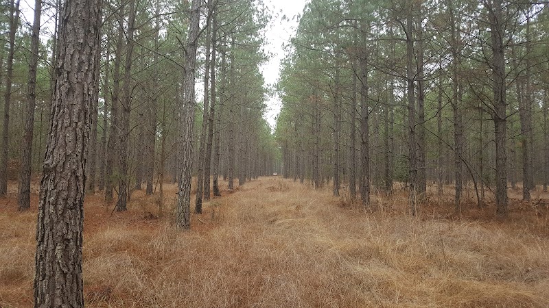 Rolling Hills Shooting Preserve - Photo 4