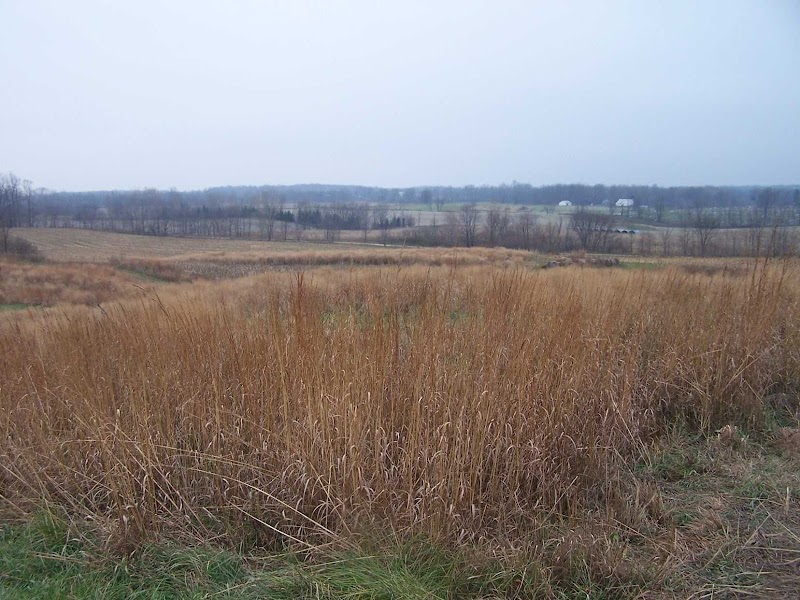 Rolling Hills Shooting Preserve - Photo 1
