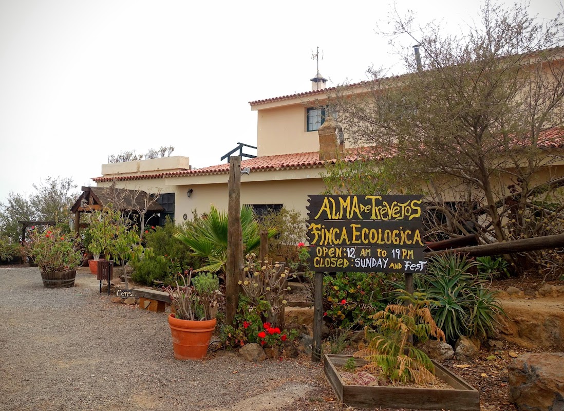 Wine Tasting in Callao Salvaje