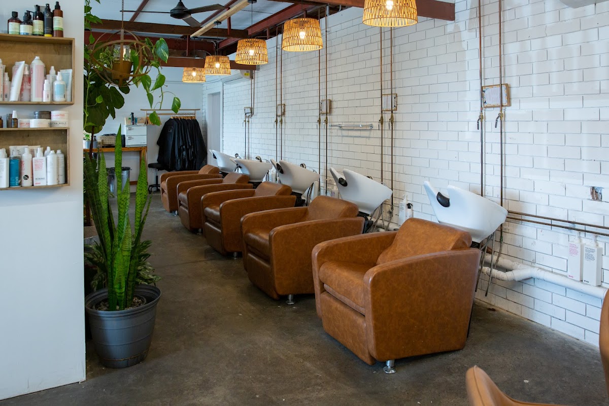 Little Birdie Hair Co photo 1