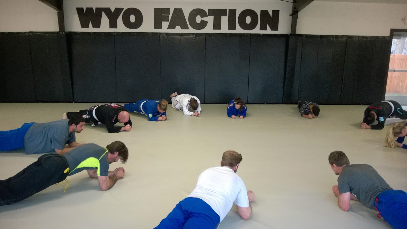 Wyo Faction LLC