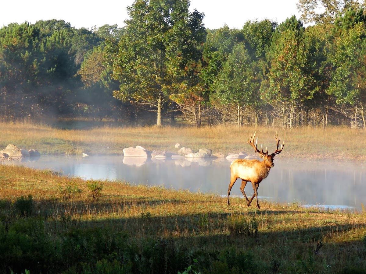 Arrow Ridge Ranch