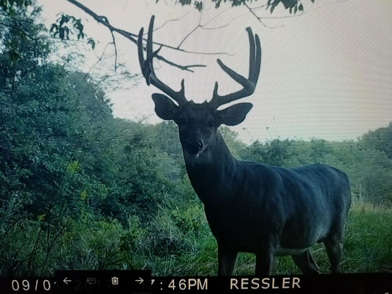 Medicine Creek Hunting Lodge - Photo 3