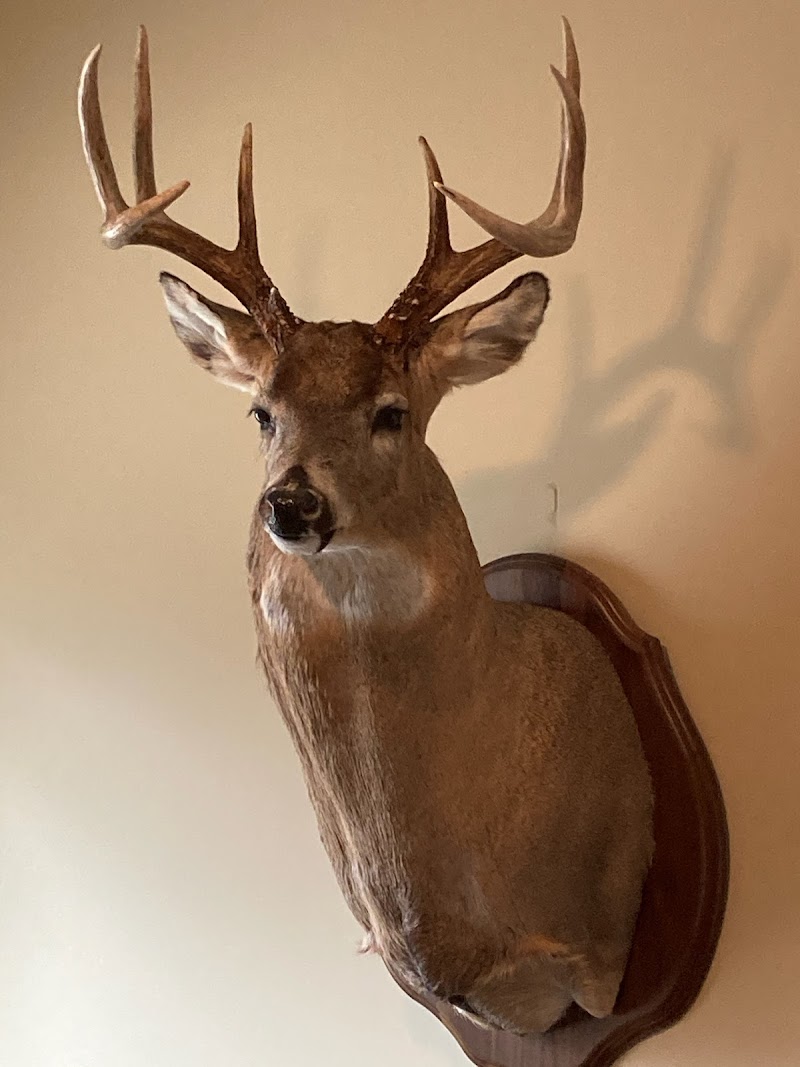Medicine Creek Hunting Lodge - Photo 2