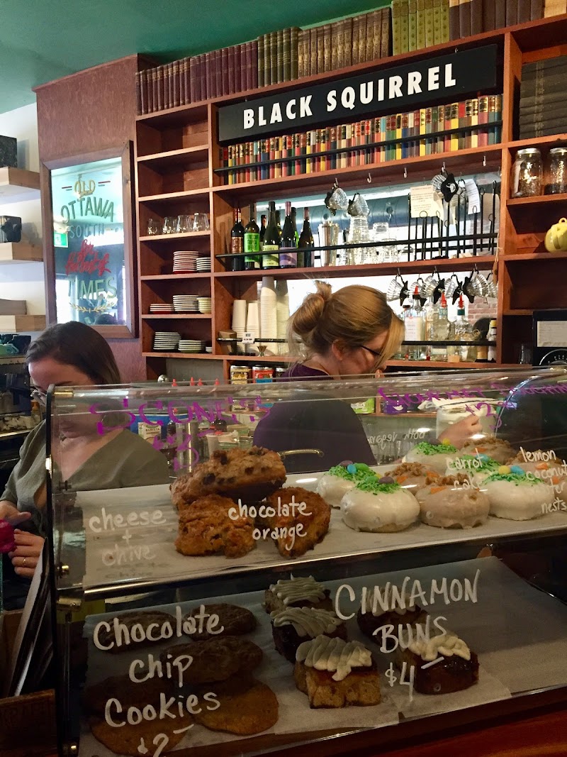 Black Squirrel Books & Espresso Bar photo 3