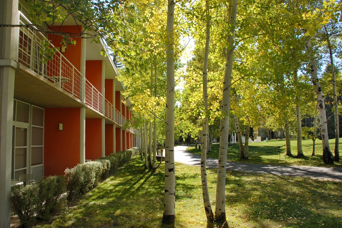 Best Dog-Friendly Hotels in Aspen, United States