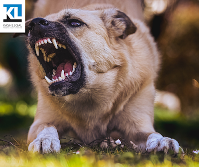 Kash Legal Group - Oakland Personal Injury and Accident Lawyers - Car accident lawyer in Oakland