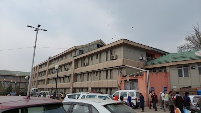 Government Lalla Ded Hospital - Image 2