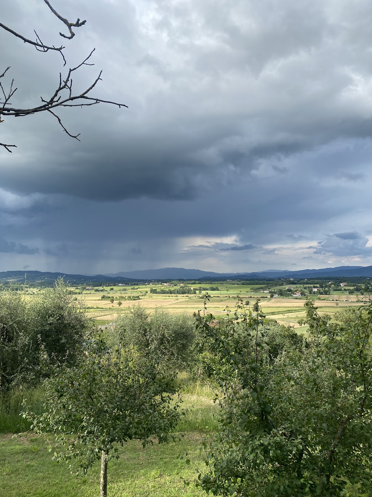 Maraviglia Conscious Living — 3