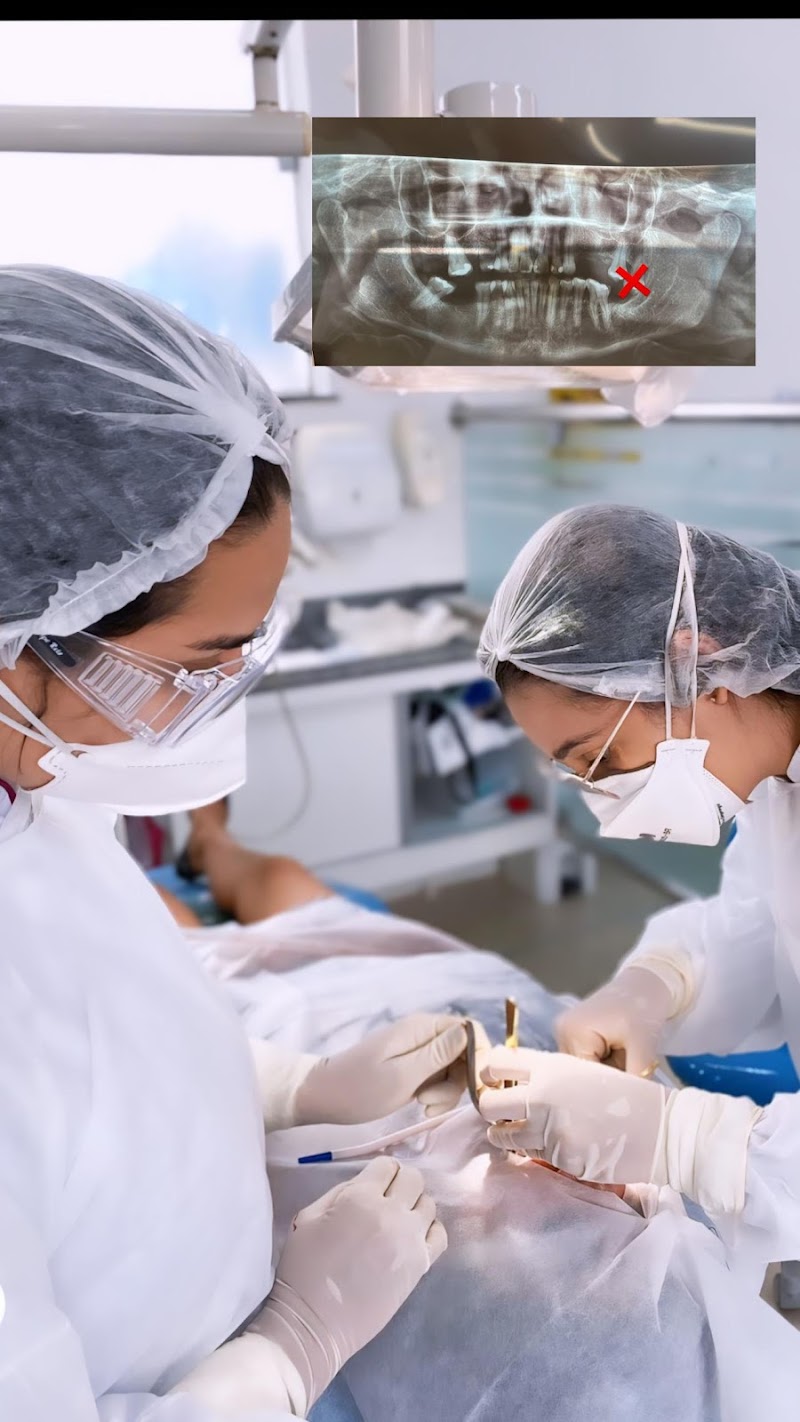 Dra Anna Katharina - Dentista Extração - Siso - 24Horas - foto 1